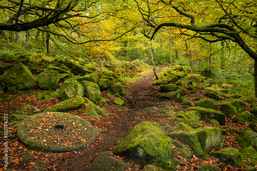 Beautiful vibrant Autumn Fall forest landscape image of millstone in woodland in Peak District photo