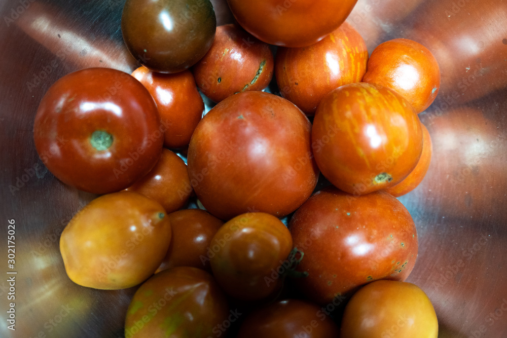 vegetables are not ripe tomatoes. dirty tomatoes just from the garden vegetables are not ripe tomatoes. dirty tomatoes just from the garden