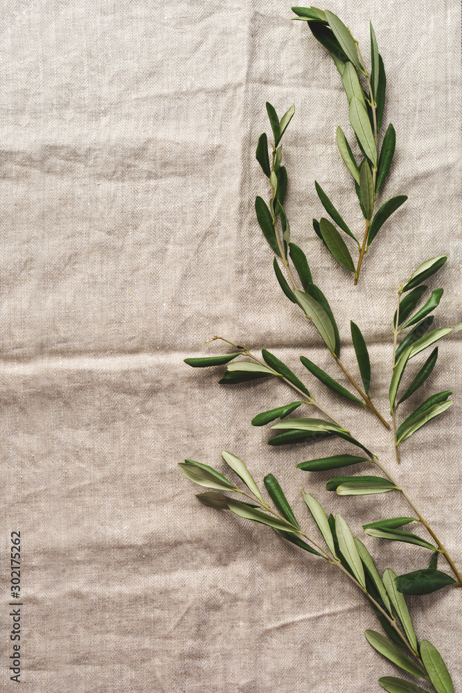Fototapeta Bouquet of fresh olive tree branches on an old vintage gray napkin tablecloth table background. Natural product concept. Top view.
