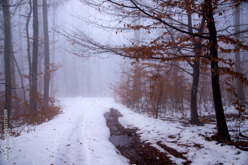 Snowy mountain road © erika8213