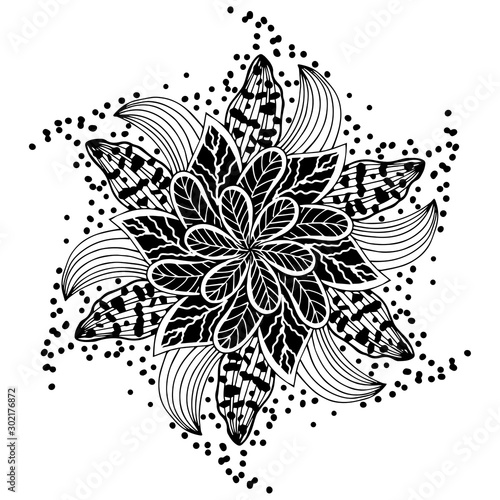 Children coloring, drawing. Leaves set of different plants and trees. Star shape or snowballs. Black and white snowflake.