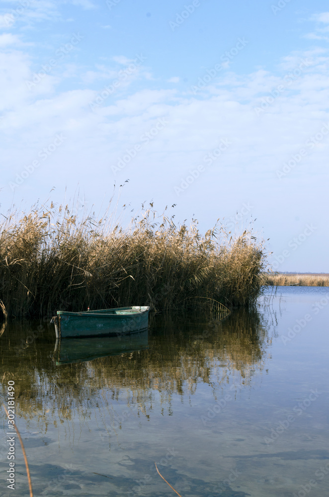 Autumn warm day near the river.Rustic wooden board and dry reeds, cold calm river Autumn warm day near the river.Rustic wooden board and dry reeds, cold calm river