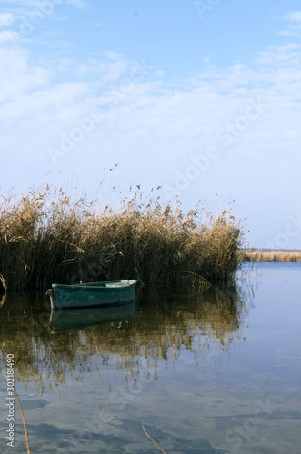 Autumn warm day near the river.Rustic wooden board and dry reeds  cold calm river
