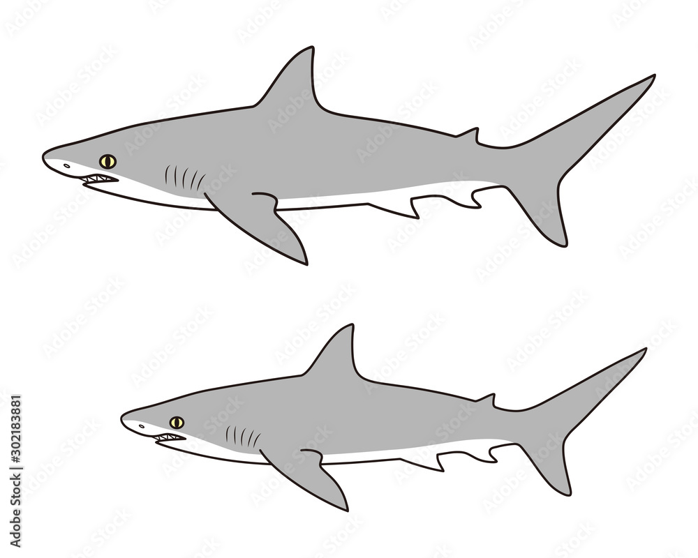 Fototapeta premium 鮫 キャラクター ベクター イラスト