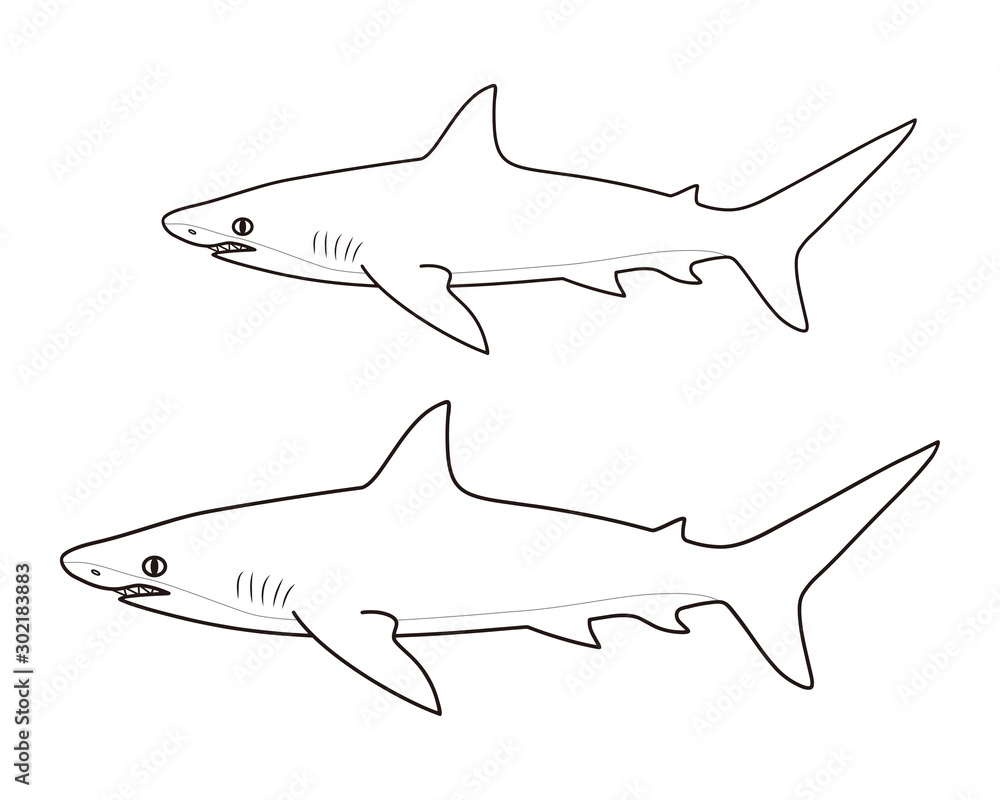 鮫 キャラクター ぬりえ ベクター イラスト Stock Vector Adobe Stock