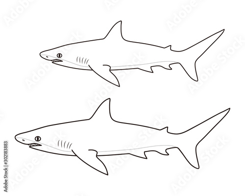 鮫 キャラクター ぬりえ ベクター イラスト Stock Vector Adobe Stock 鮫 キャラクター ぬりえ ベクター イラスト Stock Vector Adobe Stock