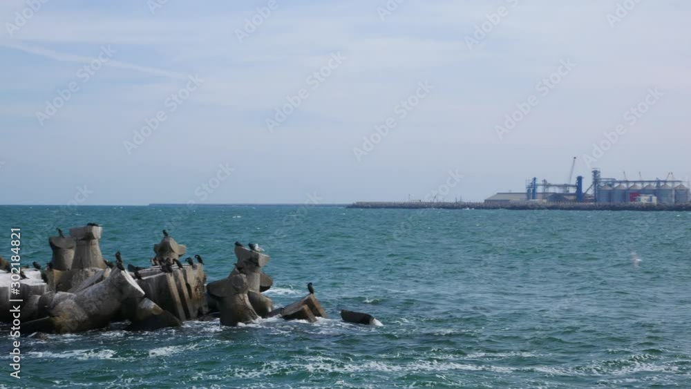 Panning shot of a seawall in the Black sea and the port of Constanta, Romania, in the background. Cormorans and other seabirds over the rocks.