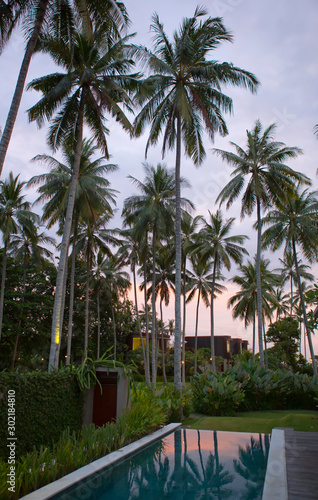 palm trees over the pool at sunset. Indonesia. Bali © Konstantin Kulikov