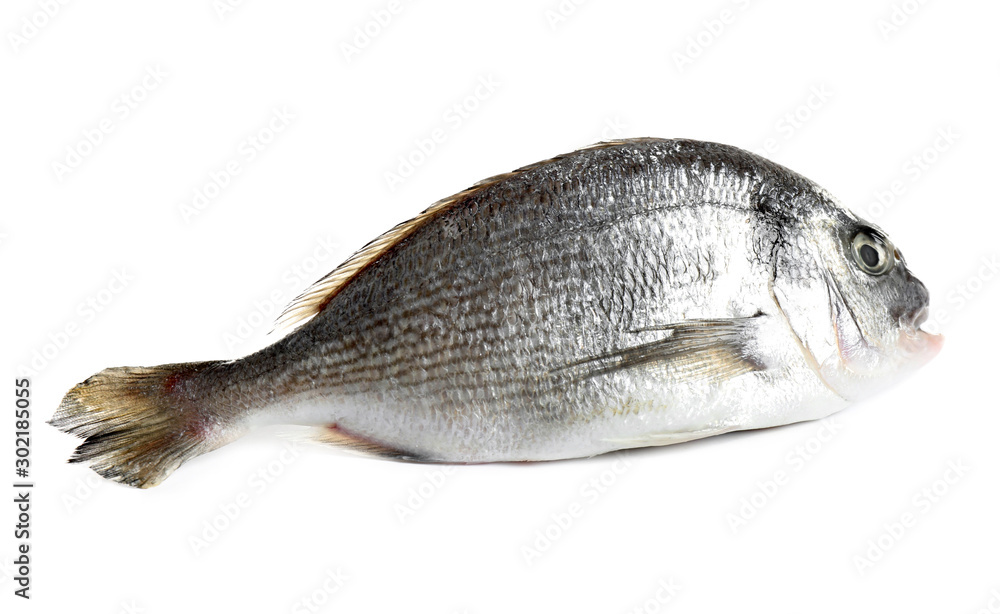 Fototapeta premium Fresh raw dorada fish isolated on white