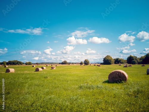 Field of hay bale