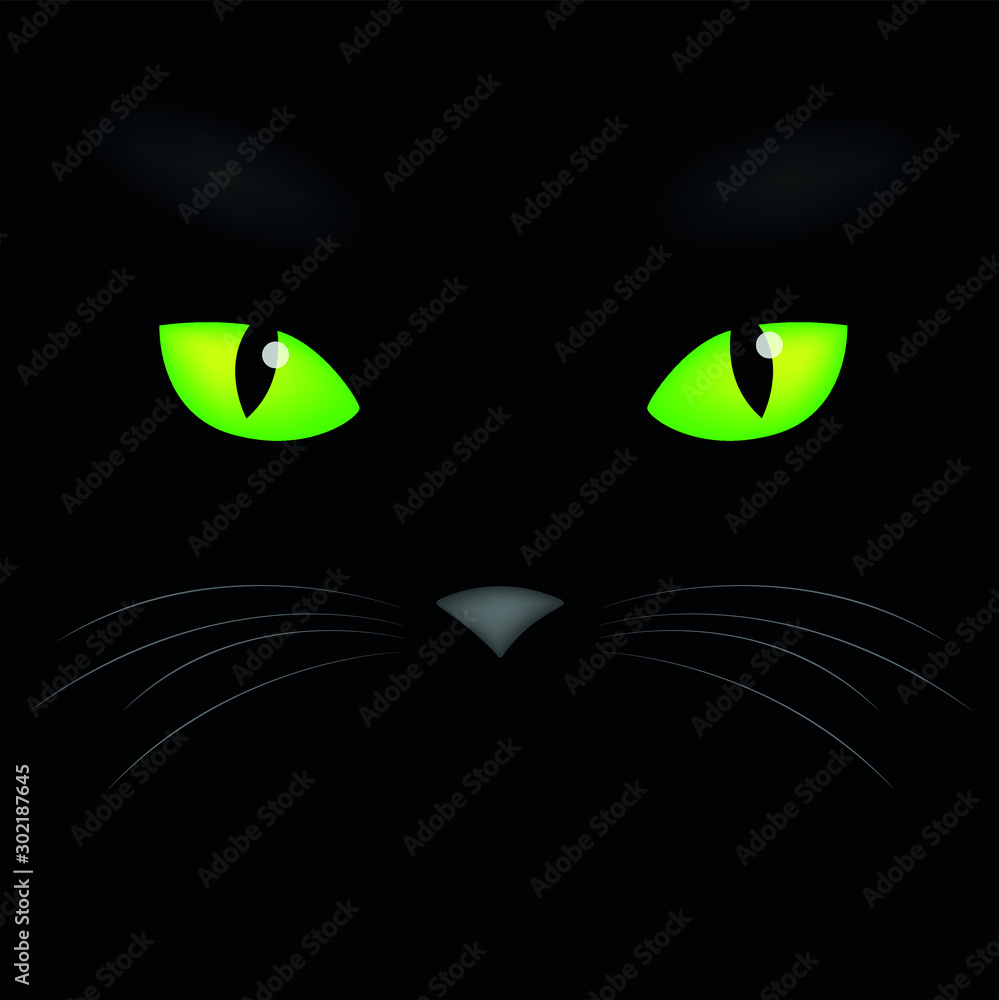 The painted face of the cat, very cute and beautiful. Vector in EPS. Depicted ears, eyes and nose on a black background.  Green emerald eyes, expressive