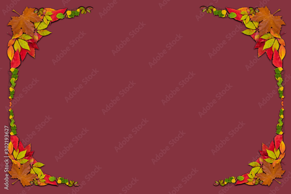 Autumn concept of natural ecology background. Flat view of the top. Suitable for Thanksgiving, Christmas, etc. Merry Christmas greetings with blank space for holiday text