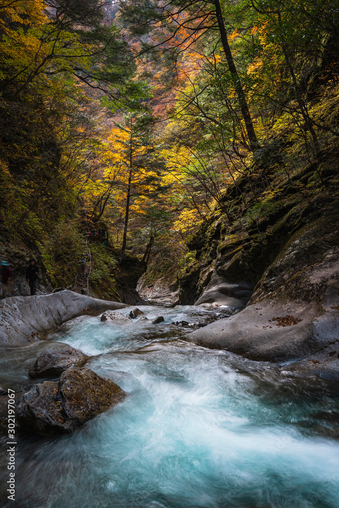 Nishizawa Valley in autumn with river in Chichibu-Tama-Kai National Park in Yamanashi prefecture.