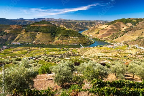 View of the vineyards and the Douro River at Pinhao, Portugal.