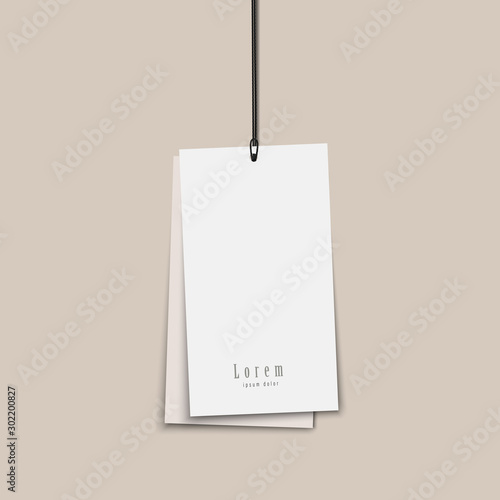 Two blank paper price tags mock up with string isolated on transparent background. 
