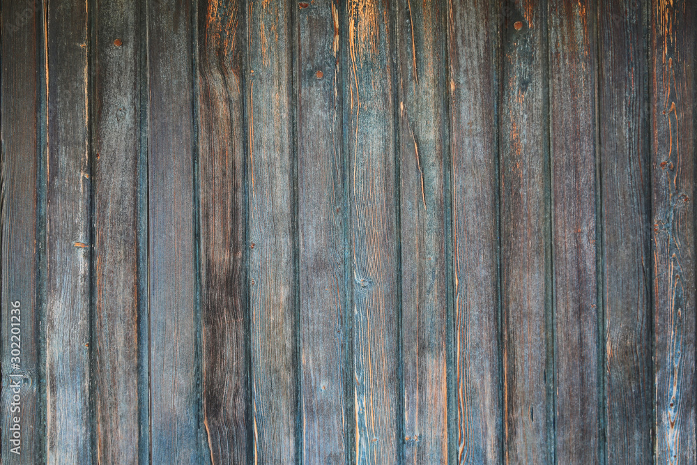 Fototapeta premium Wood Texture And Wood Background