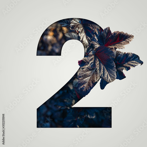 Nature concept. Creative number with autumn and burgundy leaves on a gray background. Creative typography, Chapter in the presentation, template. 2 number two.