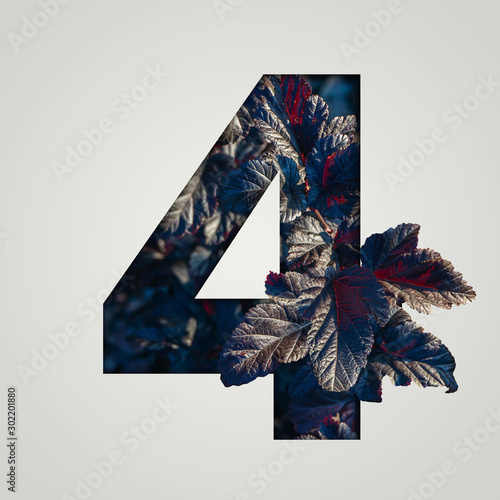 Nature concept. Creative number with autumn and burgundy leaves on a gray background. Creative typography, Chapter in the presentation, template. 4 number four.