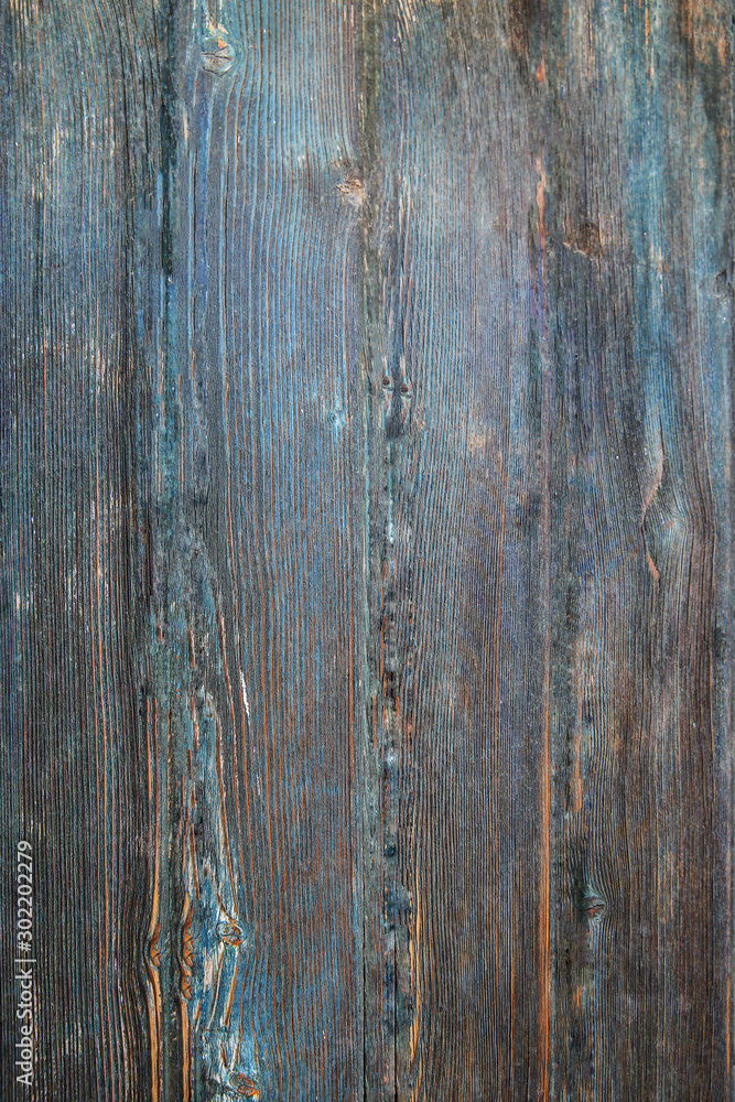 Naklejka premium Wood Texture And Wood Background