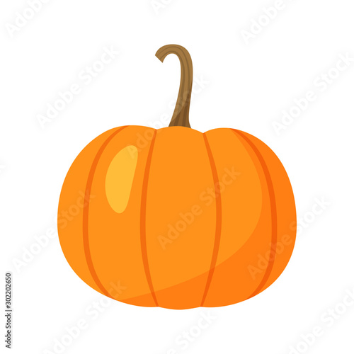 Pumpkin icon isolated on white background