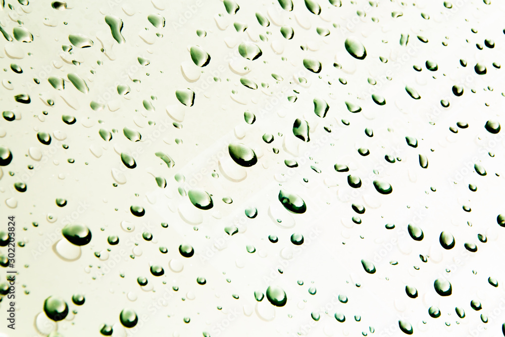 Water droplets and the color of raindrops in the rainy season - obrazy, fototapety, plakaty 