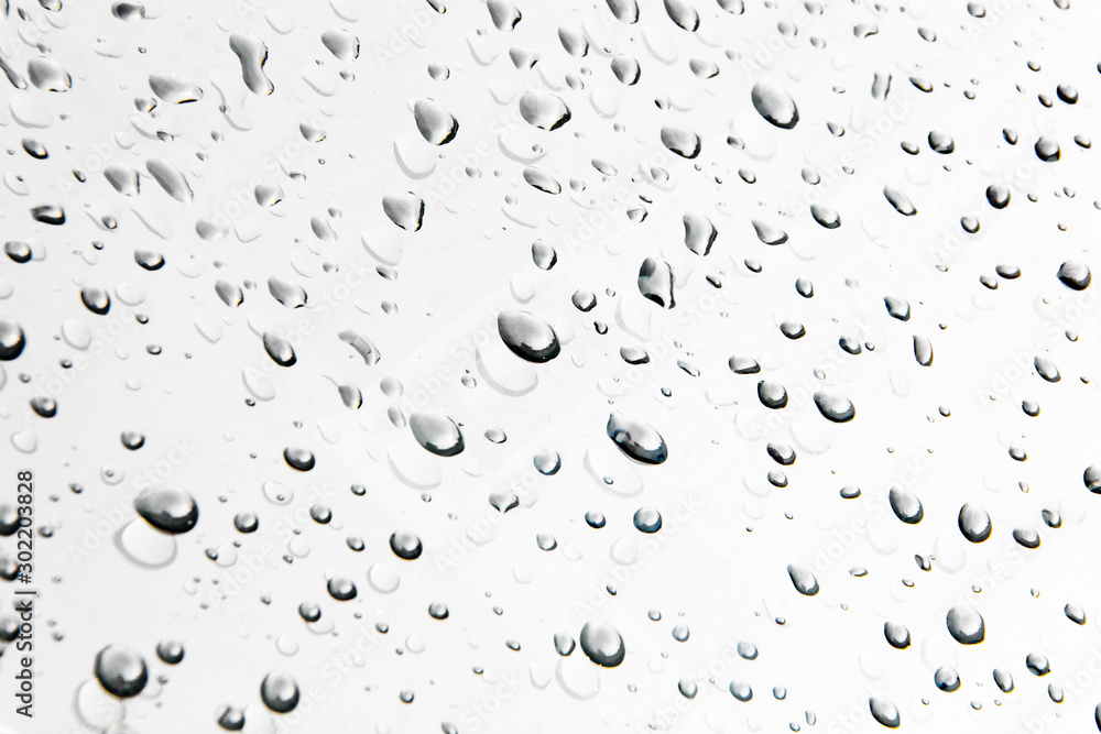 Water droplets and the color of raindrops in the rainy season - obrazy, fototapety, plakaty 