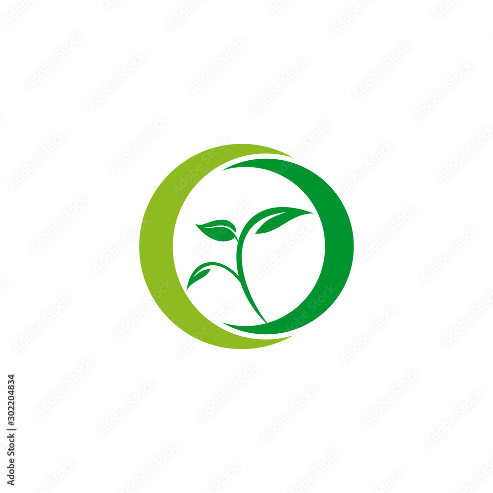 Leaf icon logo design vector template Leaf icon logo design vector template
