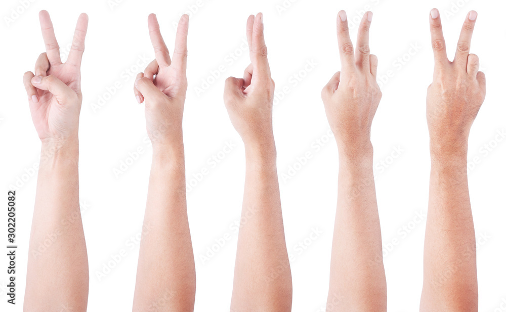 Hand with raised pinky finger in natural position png download - 1244*1600  - Free Transparent Palm Of Hand png Download. - CleanPNG / KissPNG