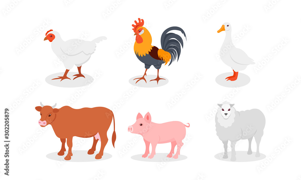Poultry And Other Farm Animals In The Village Vector Illustration Set Isolated On White Background Poultry And Other Farm Animals In The Village Vector Illustration Set Isolated On White Background