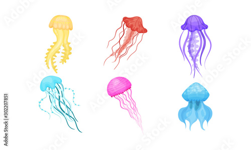 Set Of Bright Beautiful Colorful Jellyfishes Vector Illustration