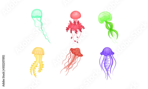 Bright Beautiful Colorful Jellyfishes Vector Illustration Set