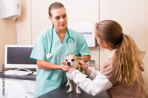 Teenager girl with little dog asking for professional advice from veterinarian