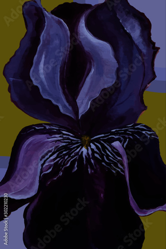 Iris with Background