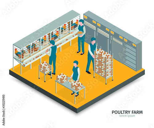 Farm Egg Gathering Composition