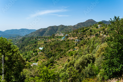 Mukteshwar Valley  Nainital  Uttarakhand  India