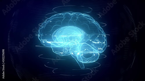 Futuristic blue digital brain seamless loop. Neurons firing in MRI scan of artificial intelligence neural network. Medical research of brain activity. Deep learning, AI and modern technology 3D render photo