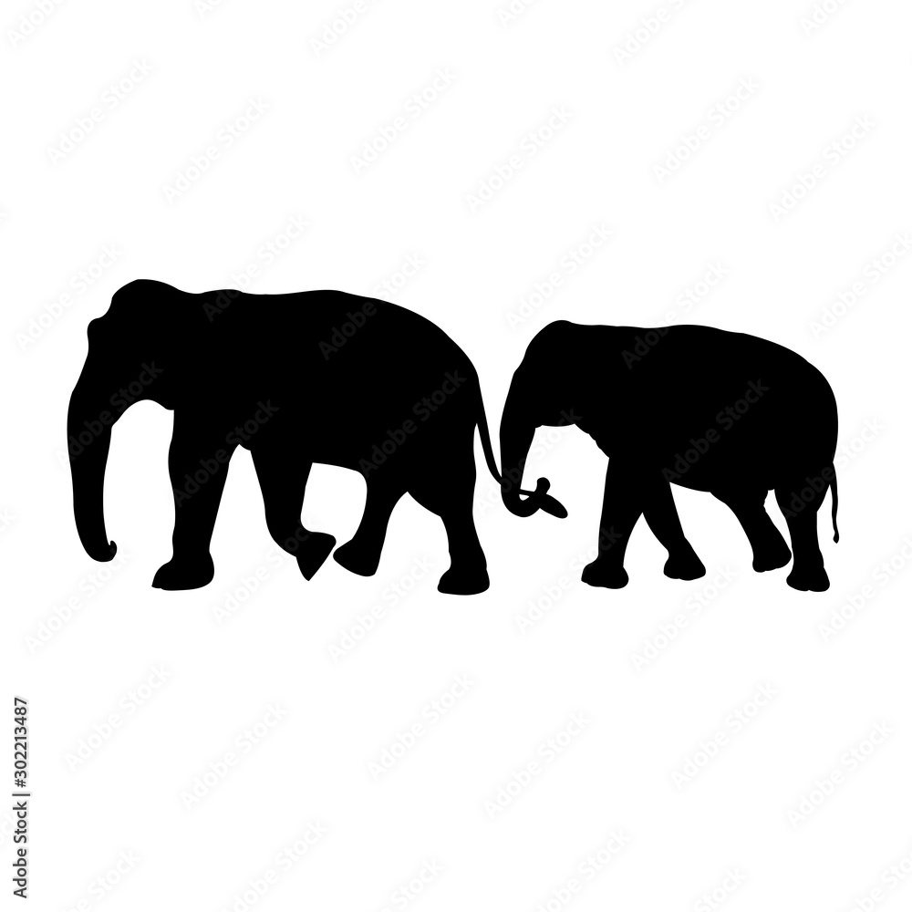 Fototapeta premium black image outline two elephant Asia walking and trunk touch the tail, graphics design, vector Illustration isolated on black background