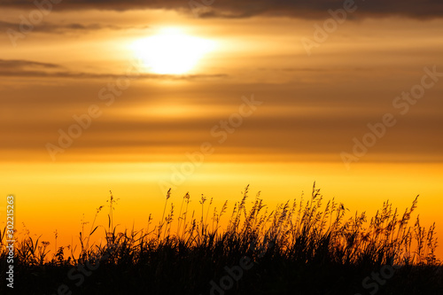 Sunrise with dark grass and sun with clouds