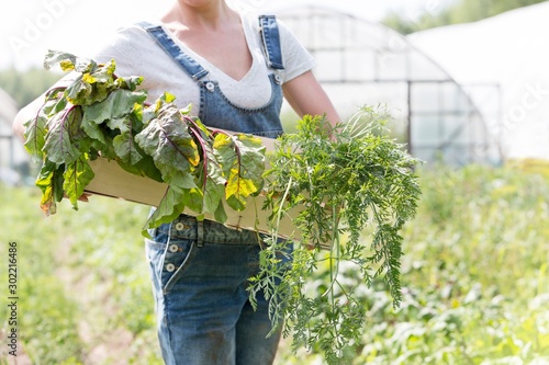 Farmer carrying organic vegetables in crate at greenhouse