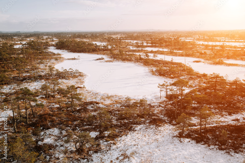 Aerial winter scenery. Early morning at swamp with frozen water and pine tree.