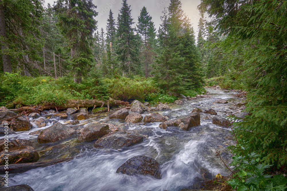 Forest river stream water slowly flow through the stones in the forest. Forest river stream water slowly flow through the stones in the forest.
