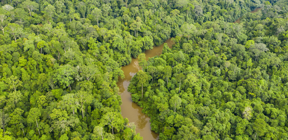 View from above, stunning aerial view of a tropical rainforest with the Sungai Tembeling River flowing through. Taman Negara National Park, located in Malaysia is the world's oldest rainforest.