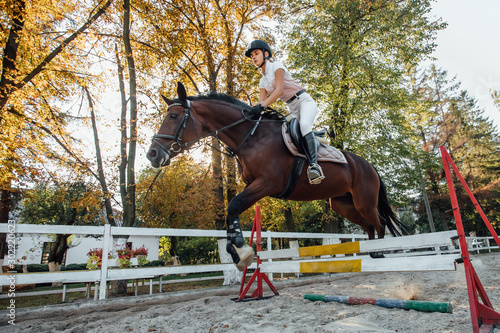 Young horse rider sportswoman on equestrian sport competition. © Тарас Нагирняк
