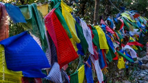 Prayer flags at Dharamsala, India