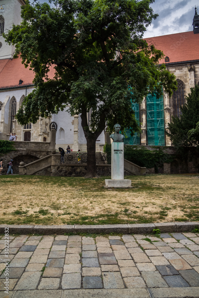 in front of St Martin's Cathedral in Bratislava