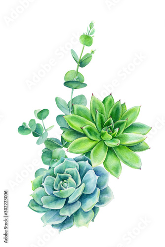 elegant bouquet of succulent, eucalyptus on an isolated white background, watercolor illustration