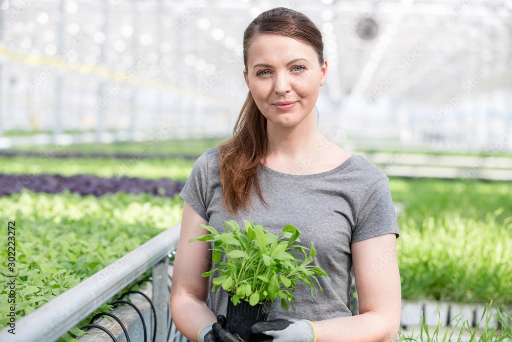 Portrait of beautiful female botanist holding seedling in plant nursery Portrait of beautiful female botanist holding seedling in plant nursery