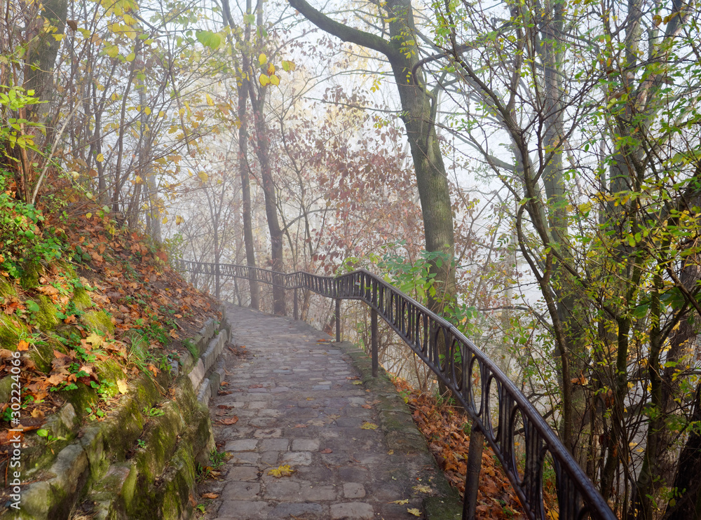 fog in the park of the city of Lviv, Ukraine fog in the park of the city of Lviv, Ukraine