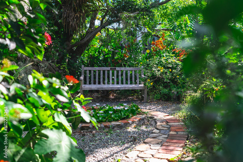 Fototapeta Naklejka Na Ścianę i Meble -  A bench in a botanical garden