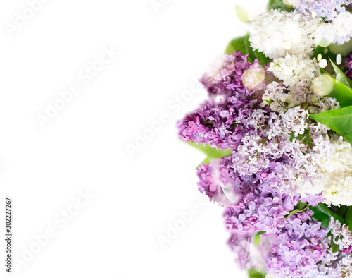 Fresh lilac flowers